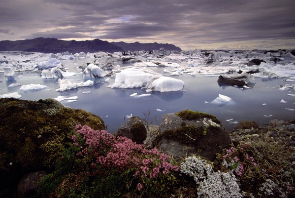 Rocky road for climate change response - ảnh 1